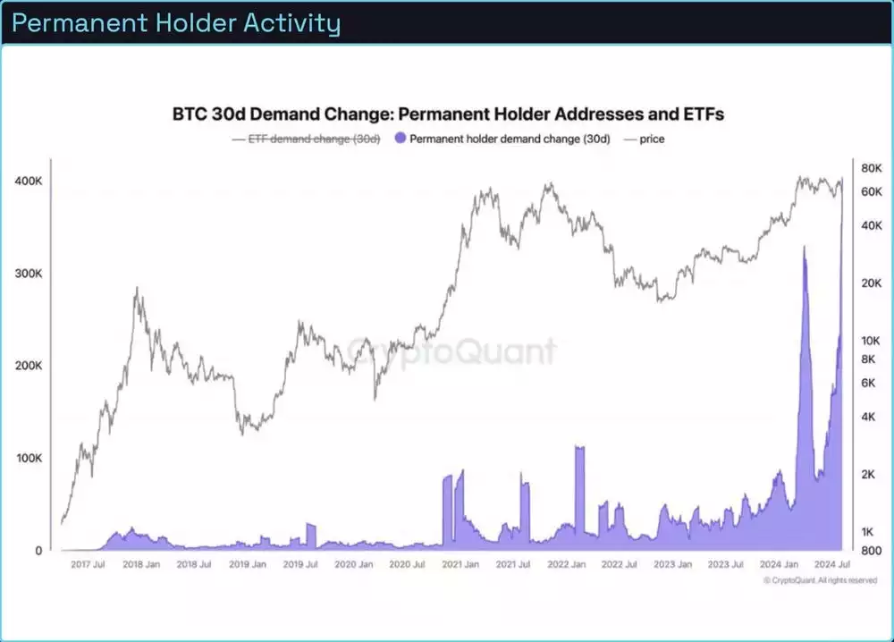 Bitcoin Analysis - Permanent Holder Activity August 2024